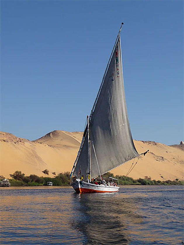 Egypt’s Timeless Wonders A 12-Day Adventure. .